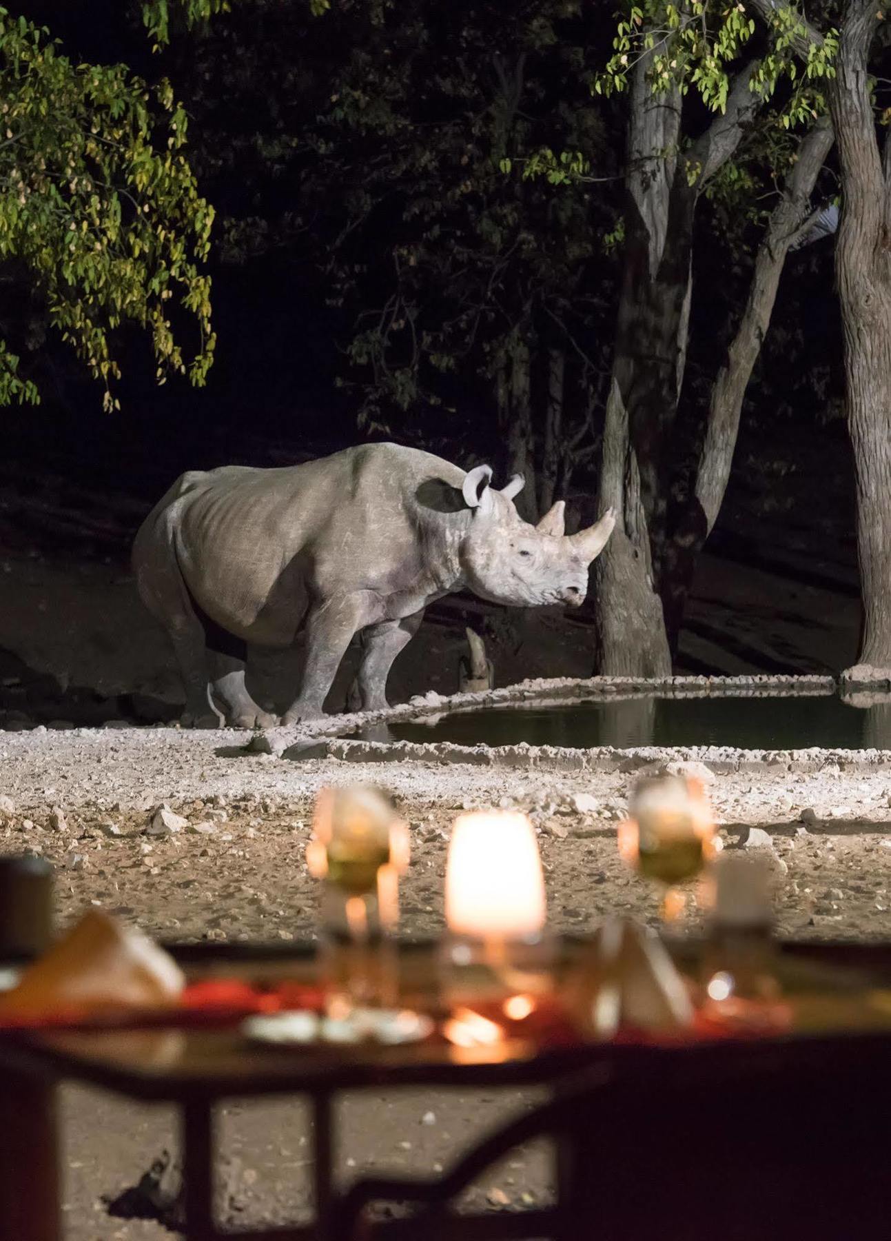 Ongava Tented Camp - All-Inclusive Okaukuejo Exterior foto